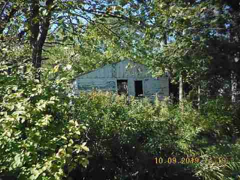 13015 Kelly (5)_m.jpg